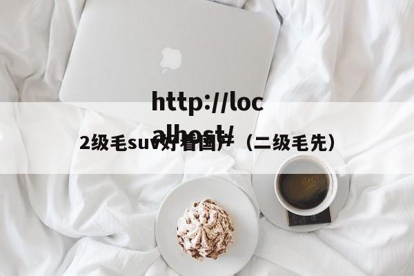 2级毛suv好看国产(二级毛先)